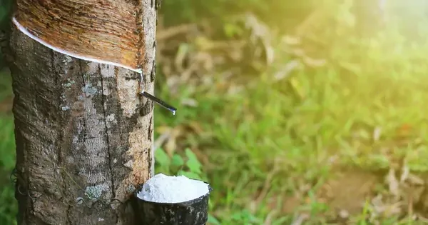 Lãi đột biến, GVR “rót” nghìn tỷ đồng vào quỹ khoa học công nghệ