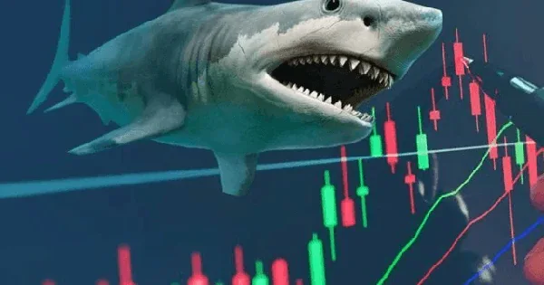 Dư báo VN-Index hướng lên vùng 1.850-1.870 trong tháng 9, CTCK chỉ ra loạt cổ phiếu kỳ vọng "hút tiền"