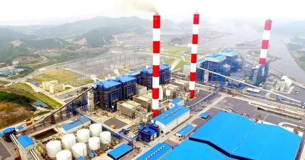 Sau khi ông Lê Việt Cường bị bắt, công ty báo lãi quý 3 gấp đôi cùng kỳ