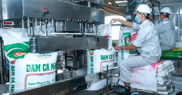 Loạt lãnh đạo Đạm Cà Mau (DCM) nhận thù lao “khủng”, có người bình quân vượt 1 tỷ đồng mỗi tháng