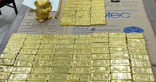 Hàng trăm miếng vàng thu giữ tại nhà bạn gái Mr Pips định giá hơn 222 tỷ đồng