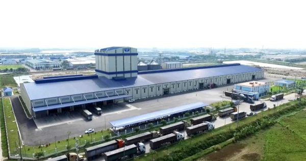 Nông nghiệp Hòa Phát chốt ngày tạm ứng cổ tức năm 2026