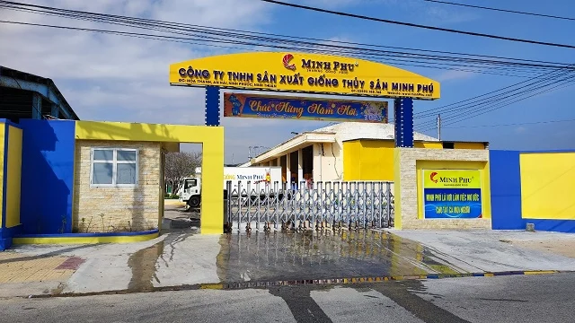 Doanh thu “vua tôm” Minh Phú cao thứ hai lịch sử, lãi gấp 12 lần