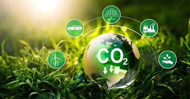 Việt Nam cho phép mua bán tín chỉ carbon rừng từ tháng 7