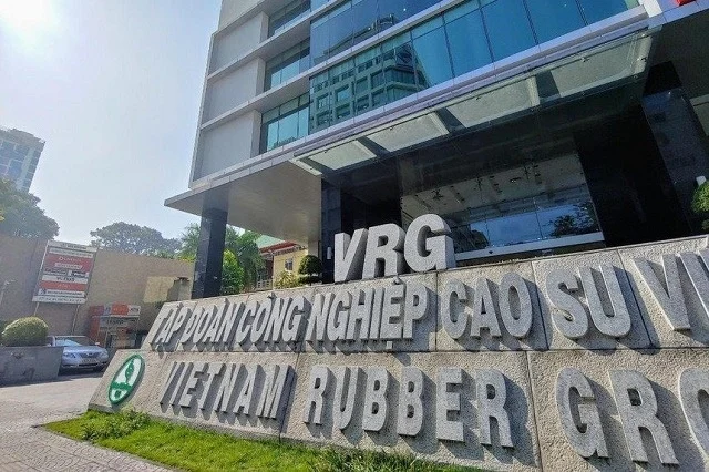 Bất chấp giá cao su tăng, 'ông lớn' GVR vẫn thận trọng về kế hoạch 2026