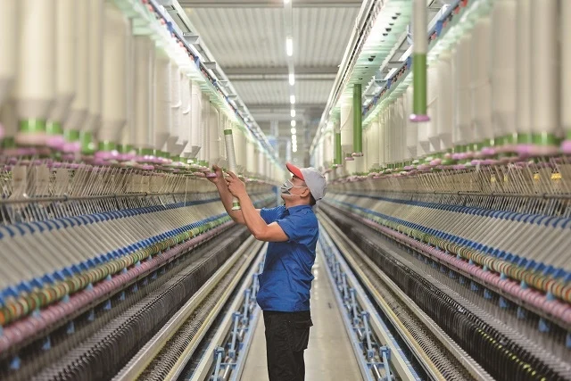 Vicotex muốn thoái sạch vốn tại VicoLuch