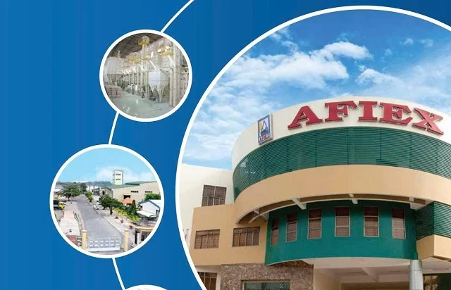 AFIEX báo lãi quý 1 gấp 4 lần cùng kỳ nhờ chiến lược cải thiện biên lợi nhuận