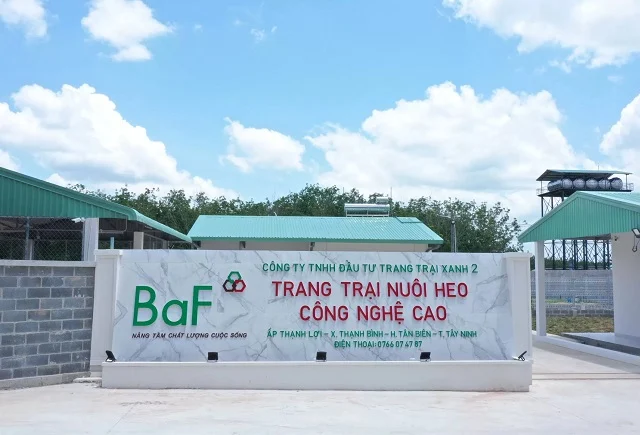 BIDV Asset Management (BAF) Faces Fine for Violating Competition Law