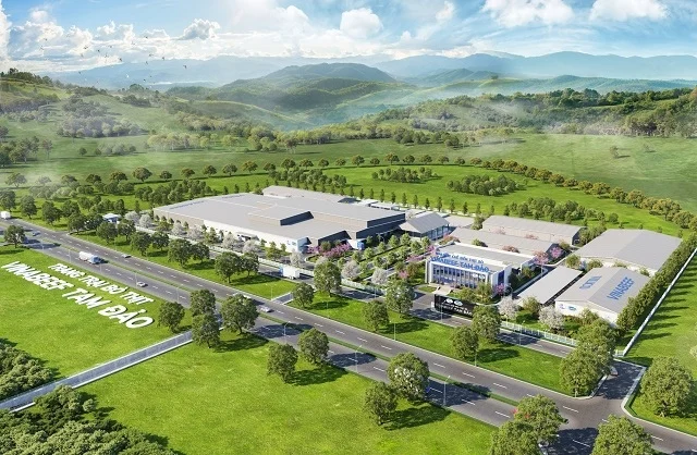 Vilico Confirms Final Price for Tam Dao Beef Project Transfer to Subsidiary Exceeds VND 1,000 Billion