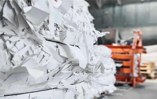 How are wood and paper industry groups performing on the stock market?