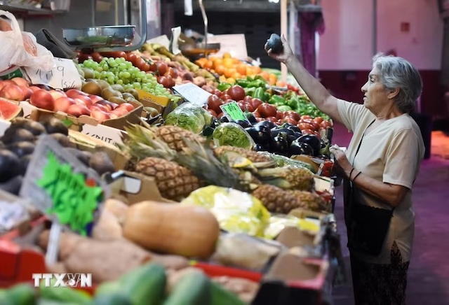 IMF Lowers Eurozone Growth Forecast, Warns of Accelerating Inflation