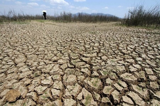 El Nino mạnh có thể quay trở lại sau 10 năm
