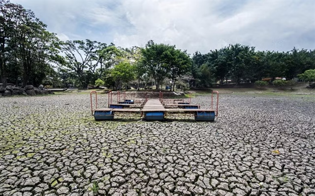 El Nino có thể kích hoạt cuộc khủng hoảng giá hàng hóa toàn cầu