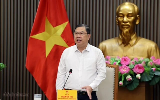 Phó Thủ tướng Thường trực: Nghiên cứu sửa đổi toàn diện Luật Đấu thầu, tháo gỡ vướng mắc từ thực tiễn