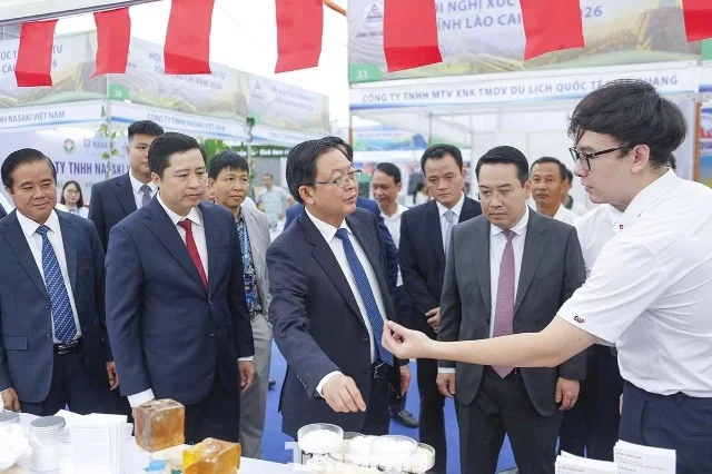24 dự án có tổng vốn hơn 24,000 tỷ đầu tư vào Lào Cai