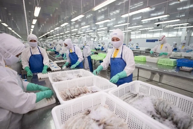 Lợi nhuận hãng tôm Sao Ta tăng 92% trong quý 2 nhờ giá nguyên liệu giảm