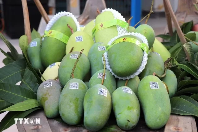 Bộ Công Thương sẽ thúc đẩy đối thoại với Hoa Kỳ sau kết luận thuế Mục 301