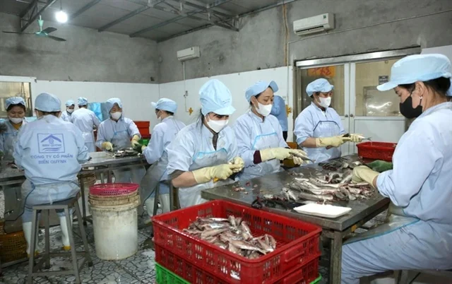 Giảm thuế 30% để tiếp thêm nguồn lực cho hộ kinh doanh và hỗ trợ tiêu dùng