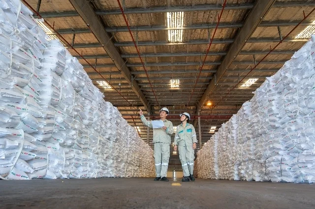 DPM vào Top 50 Doanh nghiệp Dẫn đầu ESG Việt Nam 2026