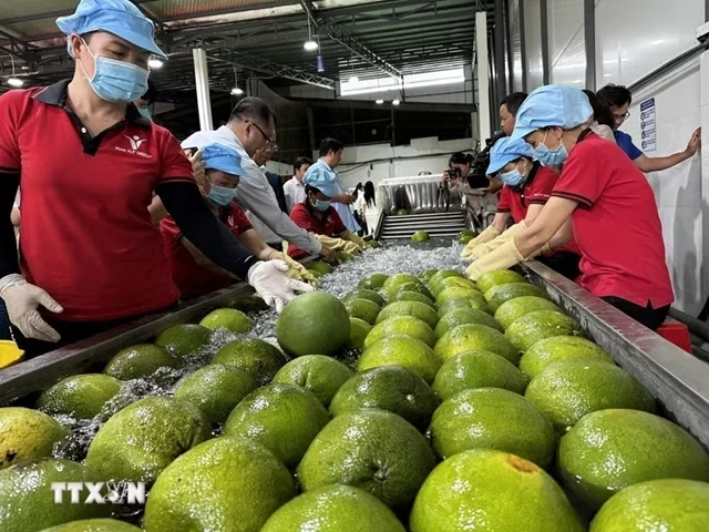 Gần 2 tỷ USD xuất khẩu tạo thêm động lực để Vĩnh Long tăng tốc