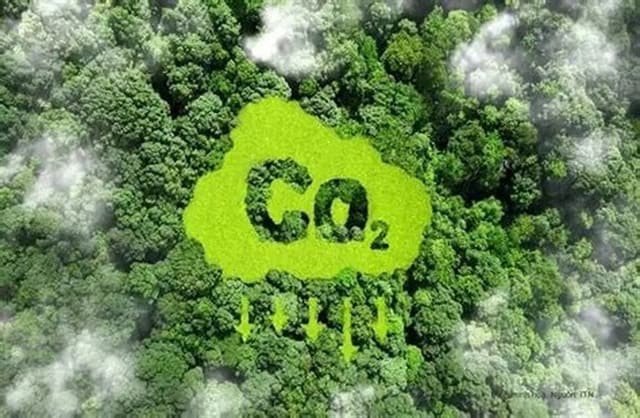 Thị trường tín chỉ carbon tại Việt Nam: Chủ động chuẩn bị để gia tăng lợi thế cạnh tranh