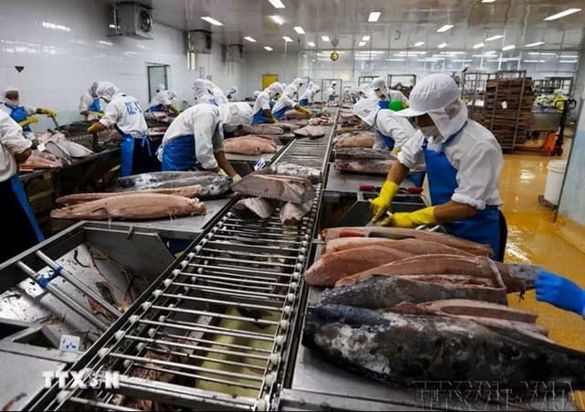 Mở rộng dư địa hợp tác mới giữa Việt Nam và Liên bang Nga