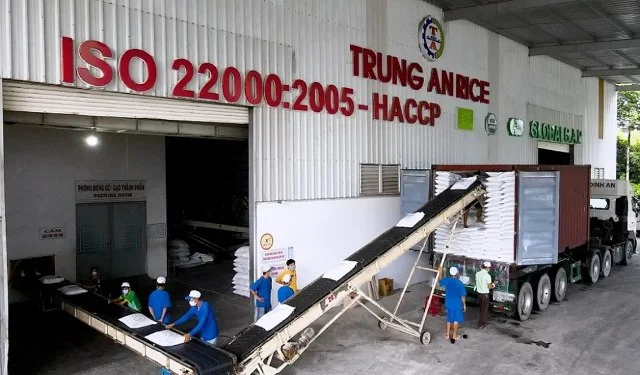 TAR lỗ bán niên 24 tỷ đồng, nhận ý kiến ngoại trừ liên quan 6 triệu cp bị chiếm quyền