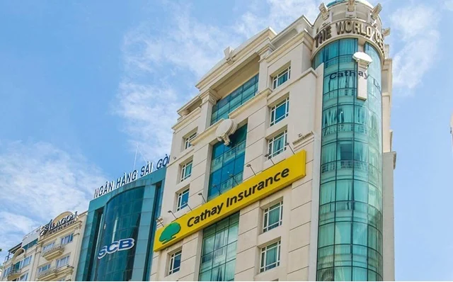 Cathay Việt Nam báo lãi sau thuế 6 tháng 2026 tăng 28%
