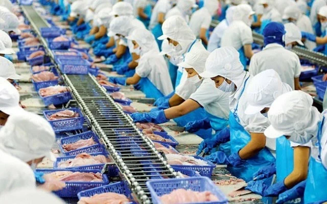 Doanh thu Vĩnh Hoàn nhích tăng trong tháng 8, giá cổ phiếu vẫn miệt mài đi xuống