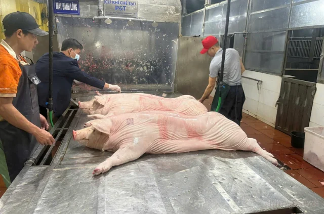Hà Nội chấm dứt hoạt động giết mổ gia súc, gia cầm nhỏ lẻ, vận hành 71 cơ sở tập trung