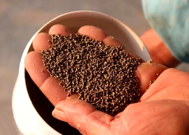 Thức ăn nuôi tôm: Nơi phát thải carbon và bài toán chi phí gặp nhau